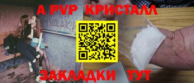 шишки Берёзовский