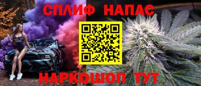 шишки Берёзовский