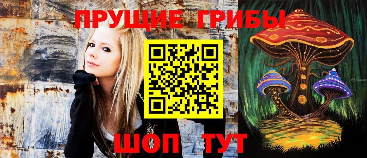 Псилоцибиновые грибы ЛСД  Вход с VPN  Вышний Волочёк  Галлюциногенные грибы MAGIC MUSHROOMS 